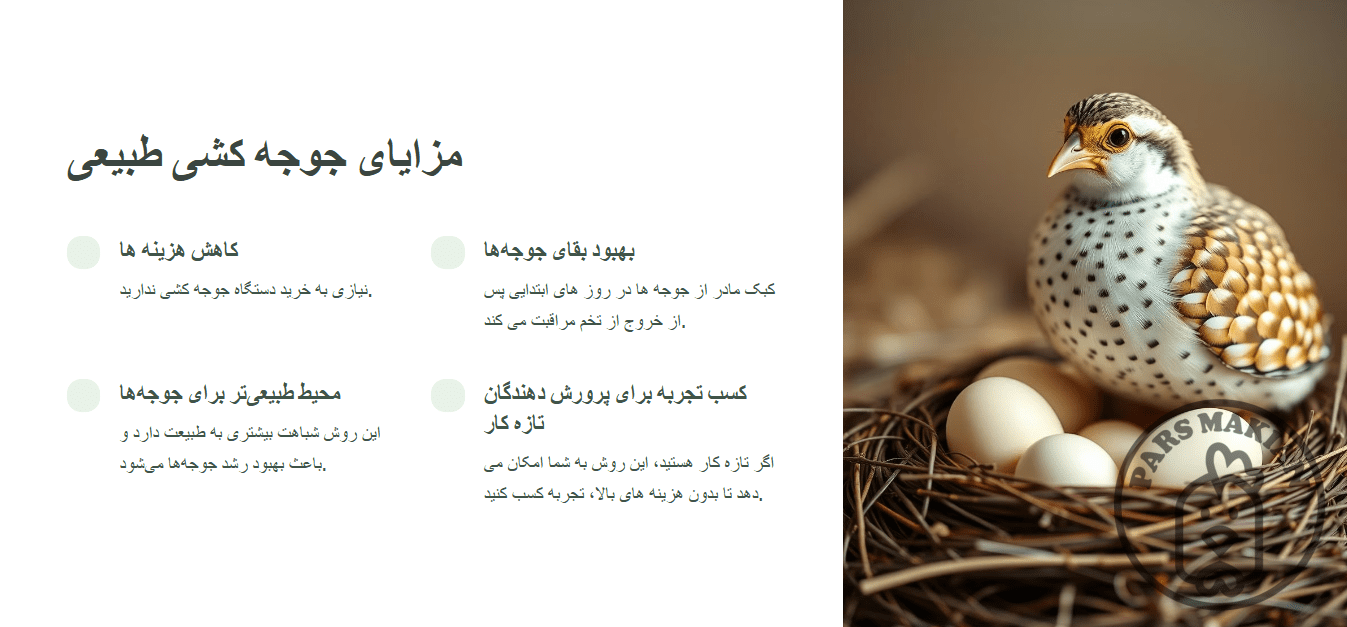 مزایای جوجه کشی طبیعی