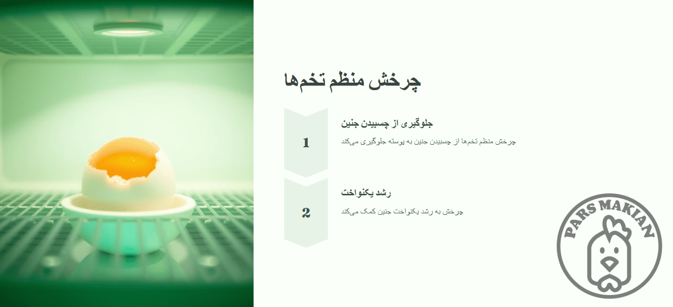 چرخش منظم تخمها