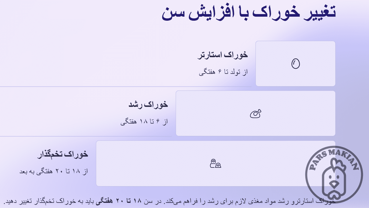 غذای مورد نیاز جوجه تخم گذار
