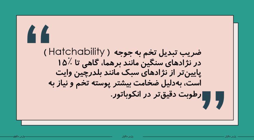 20250529 211508 1808952063 پارس ماکیان خرید تخم نطفه دار و غذای پرنده نژاد