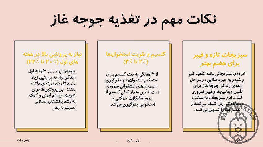 نکات تغذیه جوجه غاز