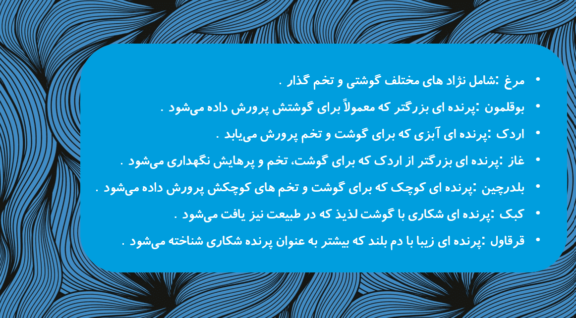 Annotation 2025 05 12 200436 پارس ماکیان خرید تخم نطفه دار و غذای پرنده ماکیان چیست