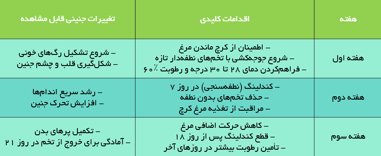 Annotation 2025 05 17 171402 پارس ماکیان خرید تخم نطفه دار و غذای پرنده تخم نطفه دار