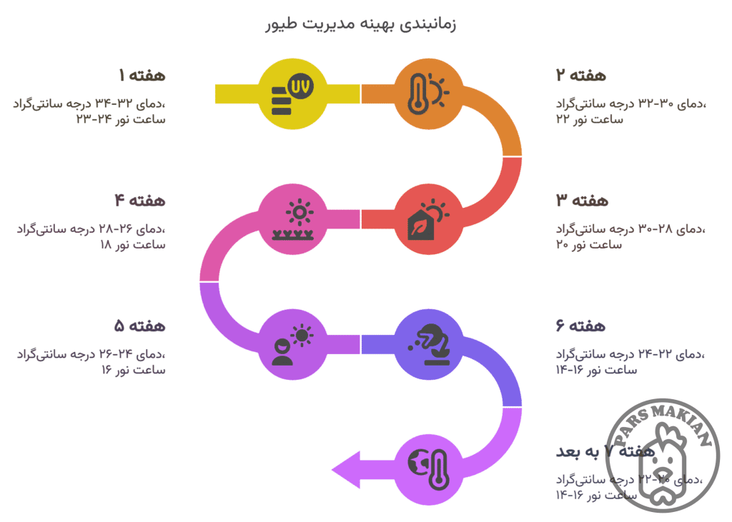 حدول میزان بهینه نور و دما بر اساس عمر جوجه