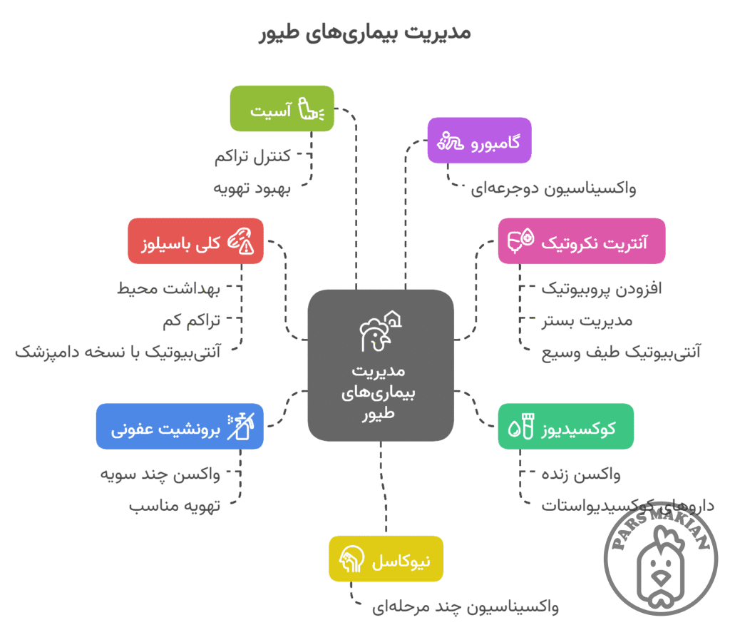 بیماری های شایع در جوجه گوشتی راس