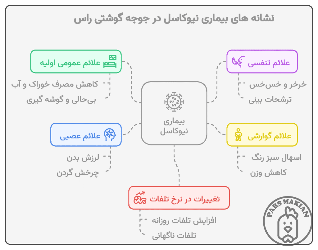 نشانه های بیماری نیوکاسل در جوجه گوشتی راس 