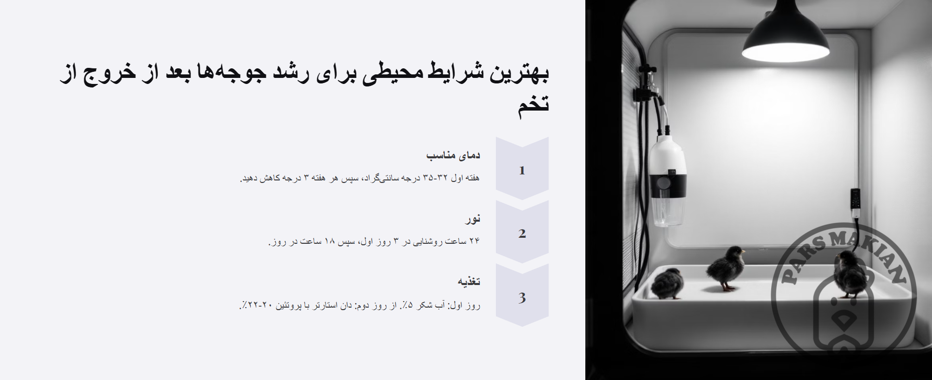 بهترین شرایط محیطی برای جوجه کشی از تخم نطفه دار در زاهدان